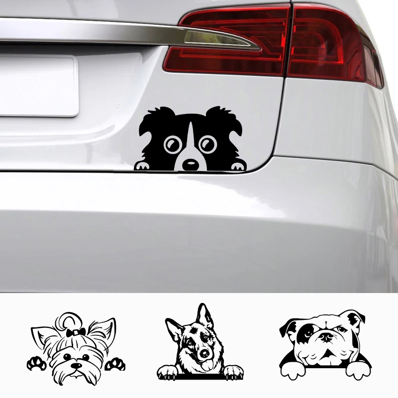 Cars Accessorie Decals Funny D - đánh giá và giá Laptop Accessories And Gadgets